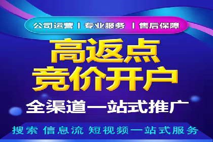 电商SEM推广案例解析